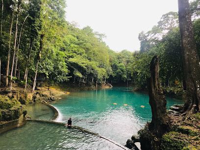 Mabinay Spring Swimming Pool