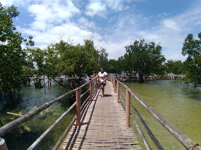 Suyac Island Mangrove Eco-Park