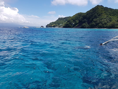 Apo Island View Deck