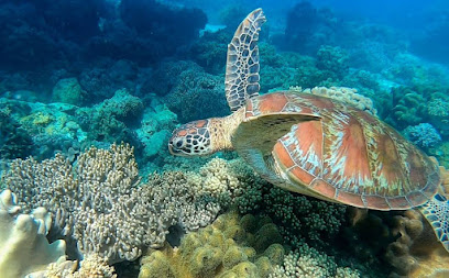 Harolds Dive Center Dumaguete