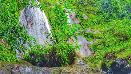 Punong Punong Falls