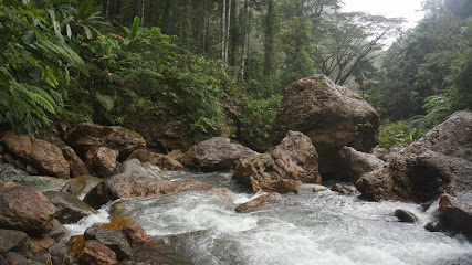 Amlan Pasalan (Falls)