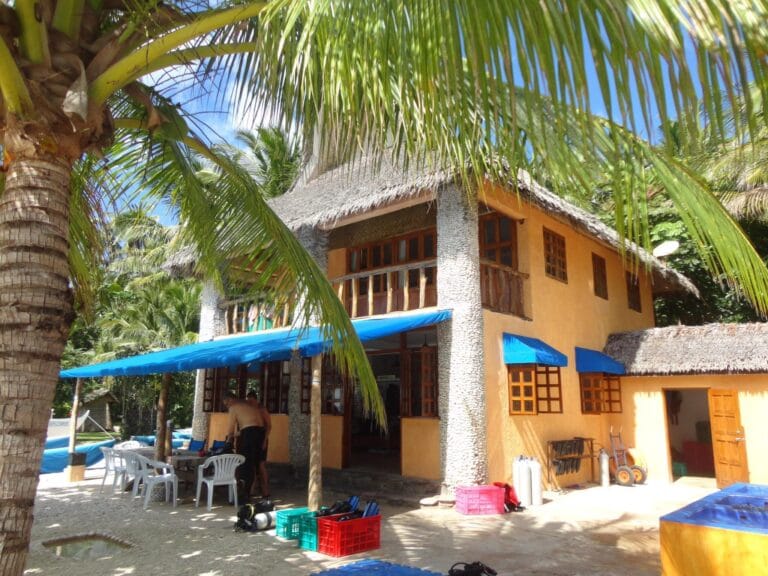 What Foreigners Need To Do Before Starting A Business In Negros Island, Philippines?
