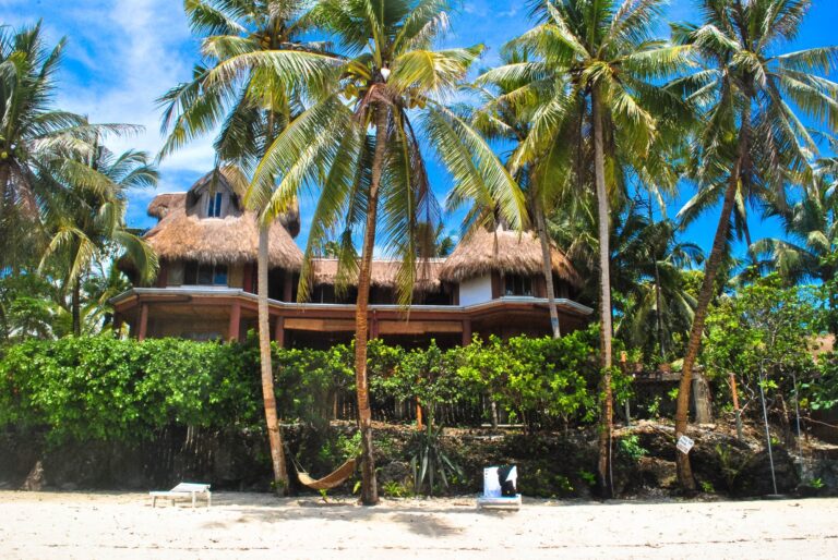 Leaving Negros and Coming Back: What Repeat Visitors Do Differently