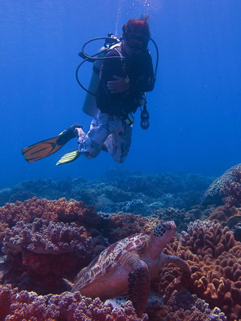 Ethical Diving and Snorkelling in Negros Explained