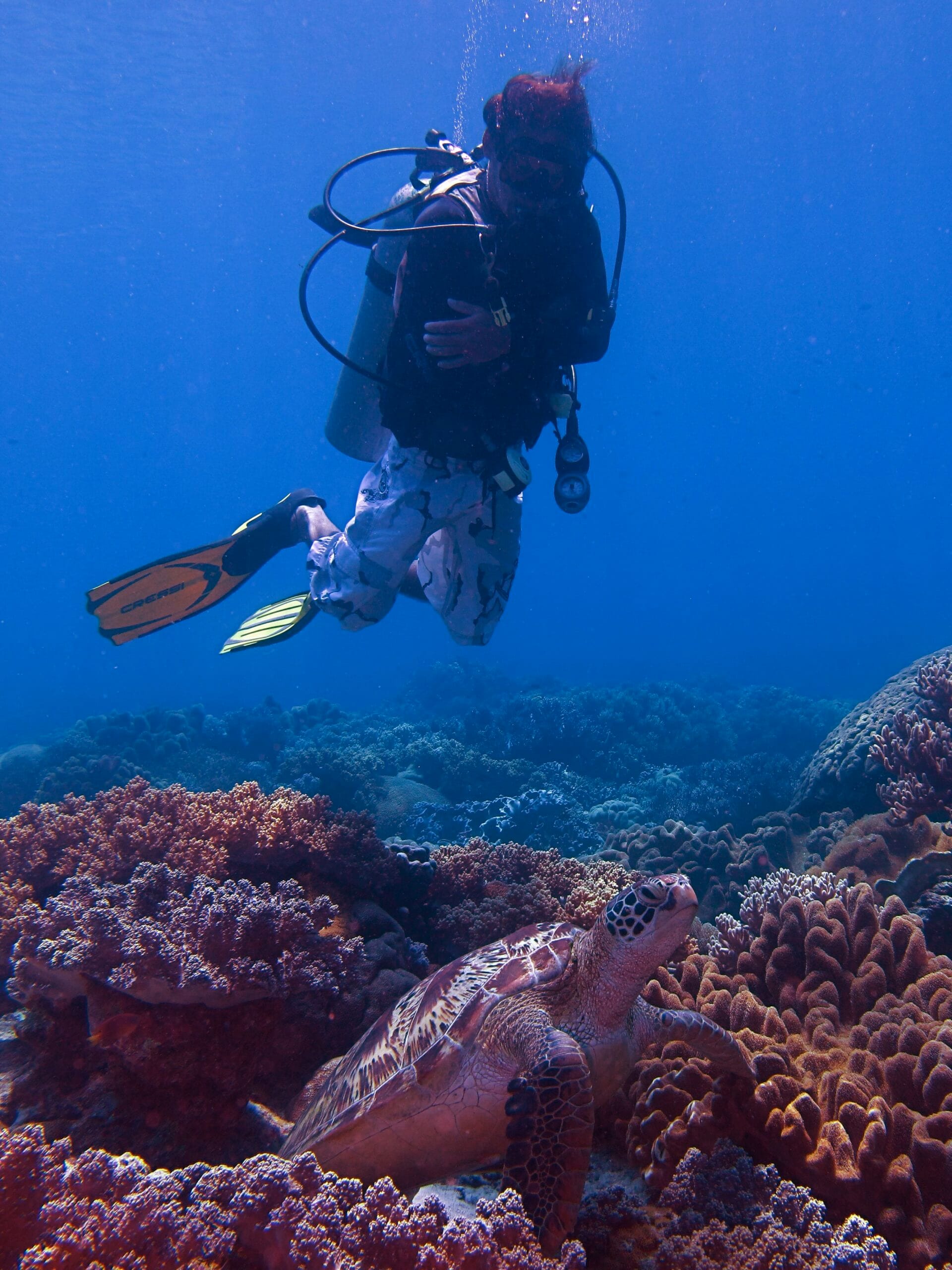Ethical Diving and Snorkelling in Negros Explained