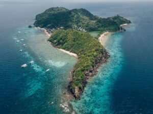 Apo Island : A Diver’s Paradise Apo Island