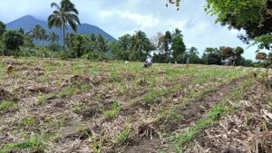 negros island eco farm resort