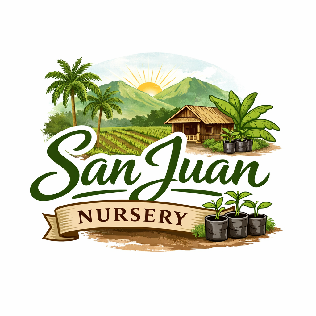 nursery silay philippines